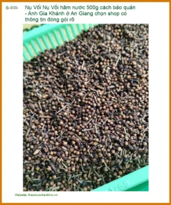 Nụ Vối hãm nước 500g cách bảo quản - Anh Gia Khánh - Địa chỉ Bán Có sẵn TPHCM