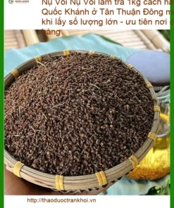 Nụ Vối làm trà 1kg chất lượng - Đơn vị cung cấp sỉ lẻ giao nhanh TPHCM