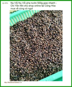 Nụ Vối pha nước 500g giao nhanh - Địa chỉ bán sỉ lẻ có sẵn TPHCM