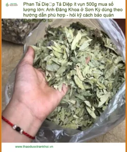 Phan Tả Diệp ít vụn 500g mua số lượng lớn - Địa chỉ Bán Giao nhanh TPHCM