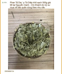 Phan Tả Diệp khô sạch 500g giá tốt tại Nguyễn Oanh - Đơn vị Cung cấp Có sẵn TPHCM