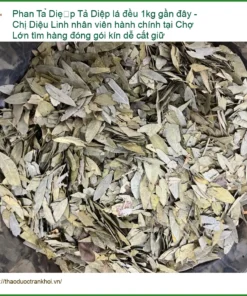 Phan Tả Diệp lá đều 1kg - Đơn vị Cung cấp Sỉ lẻ Giao nhanh TPHCM
