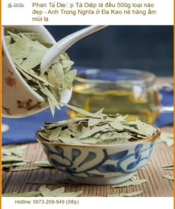 Phan Tả Diệp lá đều 500g loại nào đẹp - Đơn vị cung cấp có sẵn tại TPHCM