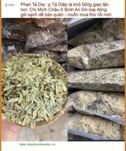 Phan Tả Diệp lá khô 500g chất lượng - Địa chỉ Bán Giao nhanh TPHCM