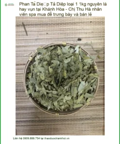 Phan Tả Diệp loại 1 1kg nguyên lá hay vụn - Cung cấp Giao nhanh TPHCM