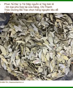 Phan Tả Diệp 1kg - Địa chỉ Dương Bá Trạc TPHCM - Bán sỉ lẻ giao nhanh