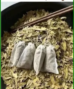 Phan Tả Diệp sấy khô 1kg cách bảo quản - Địa chỉ bán sỉ lẻ giao nhanh TPHCM