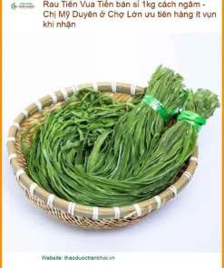 Rau Tiến Vua bán sỉ 1kg cách ngâm - Đơn vị Cung cấp Giao nhanh TPHCM