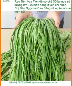 Rau Tiến Vua dễ sơ chế 500g làm gỏi - Đơn vị cung cấp sỉ lẻ TPHCM