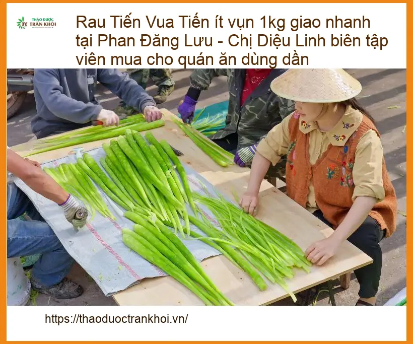 Rau Tiến Vua ít vụn 1kg - Địa chỉ bán sỉ lẻ giao nhanh tại TPHCM
