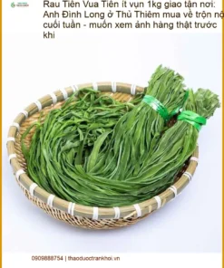 Rau Tiến Vua ít vụn 1kg - Địa chỉ bán sỉ lẻ giao nhanh tận nơi TPHCM