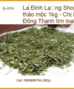Shop bán Lá Đinh Lăng nguyên liệu thảo mộc 1kg - Địa chỉ Bán Có sẵn TPHCM