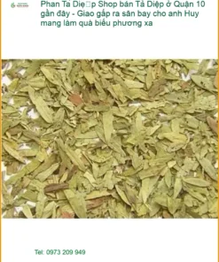 Shop bán Phan Tả Diệp Quận 10 gần đây - Giao gấp sân bay làm quà biếu