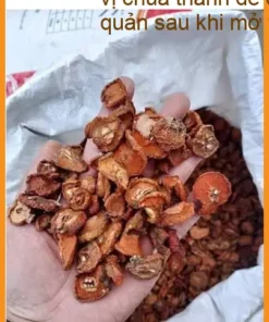 Táo Mèo lát đều 500g - Đơn vị Cung cấp Táo Mèo lát đều Có sẵn tại TPHCM