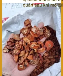 Táo Mèo lát đều 500g vị chua thanh dễ dùng - Địa chỉ Bán Giao nhanh TPHCM