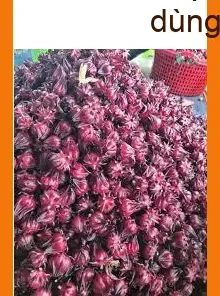 Trà Hoa Atiso Đỏ 1kg chất lượng cao - Địa chỉ Bán Giao nhanh TPHCM