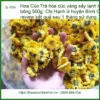 Trà hoa cúc vàng sấy lạnh nguyên bông 500g - Địa chỉ Cung cấp Giao nhanh TPHCM