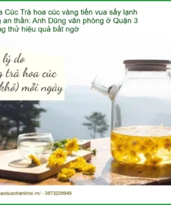 Trà hoa cúc vàng tiến vua sấy lạnh 1kg an thần - Đơn vị bán có sẵn TPHCM